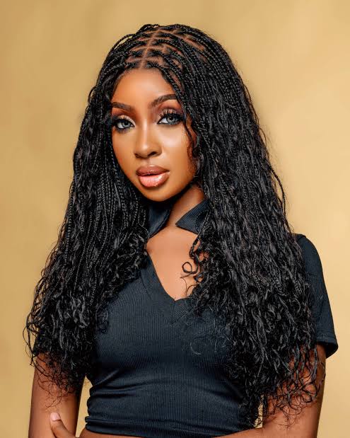 HUMAN HAIR BRAIDED WIGS